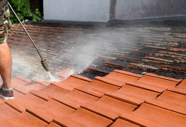 Best House Pressure Washing  in Pontiac, IL