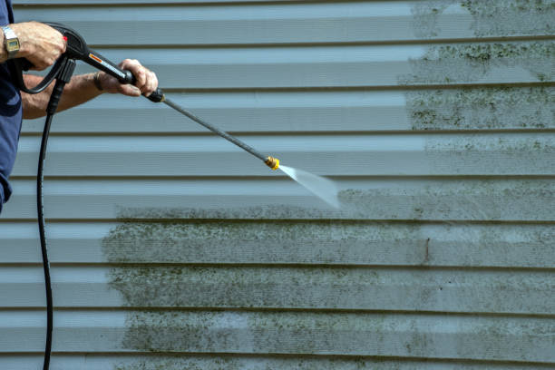 Best Affordable Power Washing  in Pontiac, IL