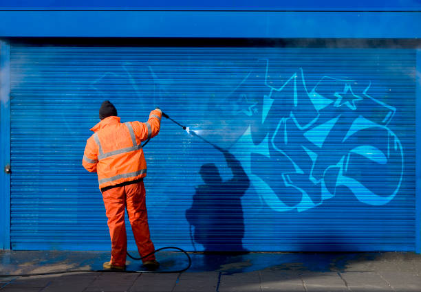 Best Local Pressure Washing Services  in Pontiac, IL