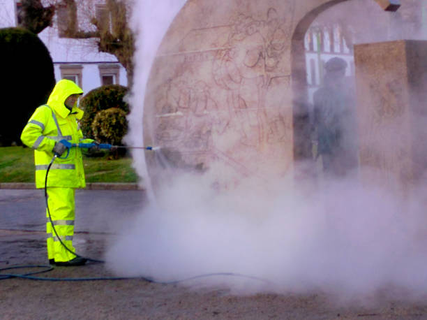 Best Local Pressure Washing Services  in Pontiac, IL